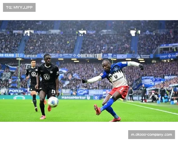 达吉姆关键进球助沃尔夫斯堡取胜 汉堡需调整策略迎接挑战