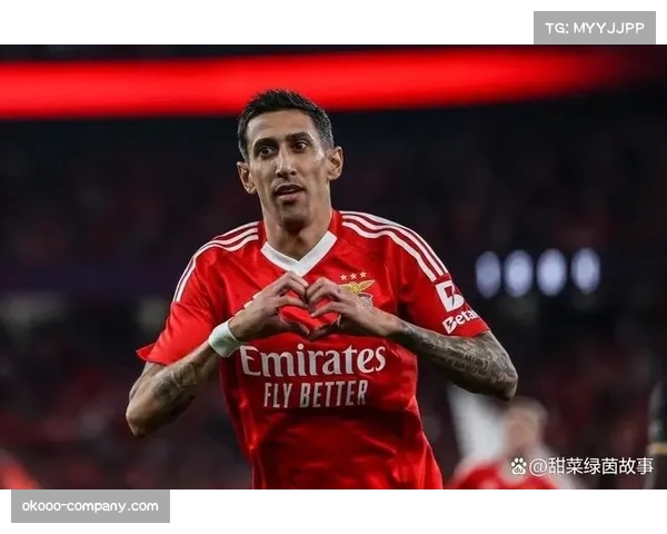 本菲卡老将迪马利亚再战葡杯 冲击个人生涯第37座冠军奖杯